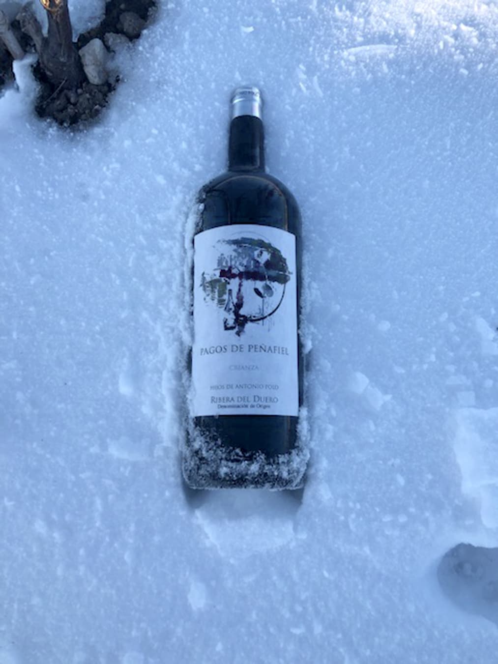 crianza_PagoPeñafiel