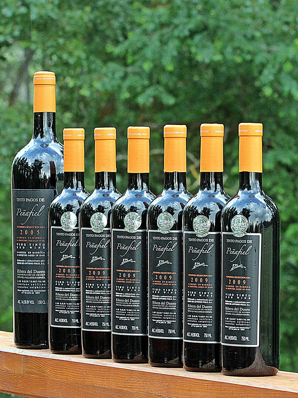 seleccion_PagoPeñafiel
